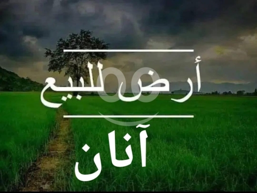 Lands for sale in  - ارض للبيع