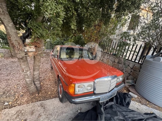 Mercedes-Benz in Biakout - مرسيدس ٢٠٠ موديل ١٩٨١