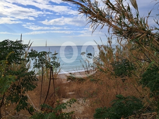Land for Sale Jbeil ( Byblos city ) Area 3931Sqm — 2