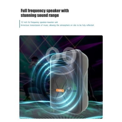 GreetTime GTS-1876 BT 5.0 / USB / TF / FM TWS / 1800mAh / 25W EQ Lighting / 12” — 3
