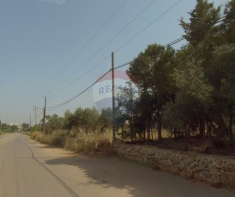 Lands for sale in Abou Samra - R9-2906 Land for Sale in Abou Samra Tripoli - 14,200 m² Residentia