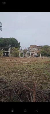 Commercials for sale in Harouf - Investment Opportunity | Land for Sale in Harouf (Nabatieh) | 1200m², Old House & Shop | $90,000