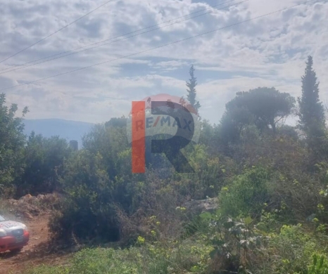 R9-2907 Land for Sale in Nakhleh Koura – 1,400 m² Residential, Zoning 25/50