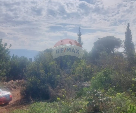Lands for sale in Nakhleh - R9-2907 Land for Sale in Nakhleh Koura - 1,400 m² Residential, Zoning 25/50
