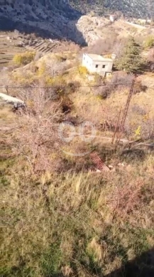 Land for Sale Chatine Batroun Area 3169Sqm — 3