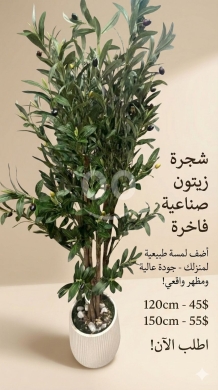 Other home furniture in Achrafieh - artificial plants olive tree
