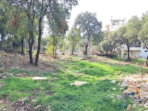 Land for Sale Zebdine Jbeil Area 750Sqm — 2