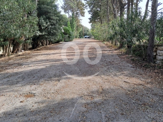 Land for Sale Zebdine Jbeil Area 750Sqm — 5