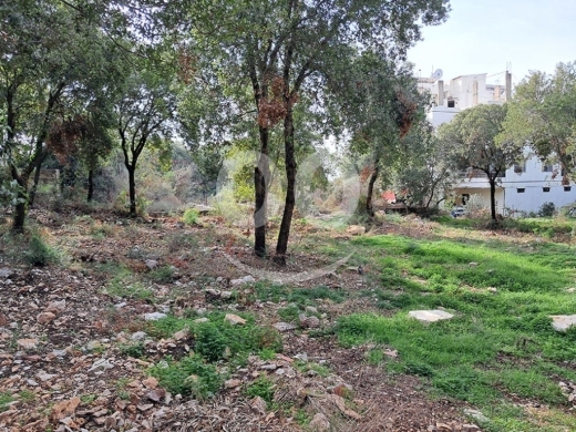Land for Sale Zebdine Jbeil Area 750Sqm — 4