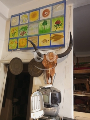 Antiques & Collectibles in Beirut City - رأس ثور (جمجمة ثور) طبيعي بقرون طويلة | ديكور ريفي غربي - 100$