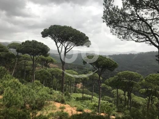 Lands for sale in Snia - a wonderful land for sale at Snayya