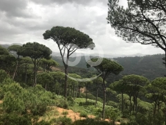 أرض للبيع في قضاء جزين بإطلالة جبلية | Land for Sale in Jezzine District Mountain View