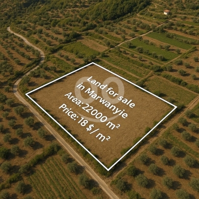 Lands for sale in Marwaniyeh - أرض في المروانية 22000م² للبيع ب 18$ للمتر