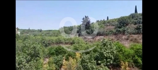 Lands for sale in Ansar - bestan ansar