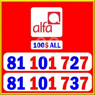 Phone numbers in Saida - عرض ألفا المميز: خطين متناسقين | Premium Alfa Matching Numbers Bundle
