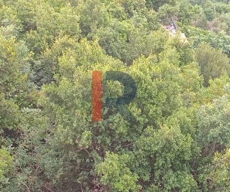R9-2943 Land for Sale in Keserwan Jbeil District – 770 m² with Road, Electricity & Water — 4