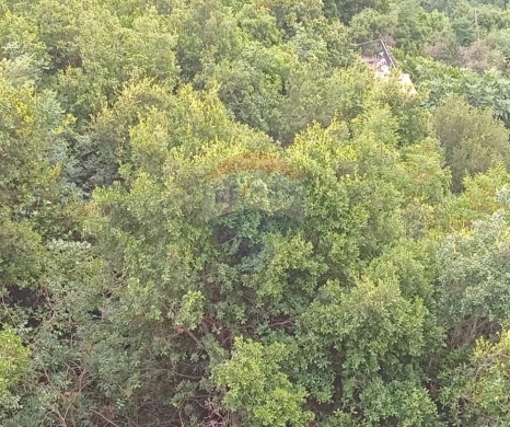 R9-2943 Land for Sale in Keserwan Jbeil District – 770 m² with Road, Electricity & Water — 4