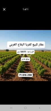Lands for sale in Kefraya - land kefraya west bekaa عقار كفريا البقاع الغربي