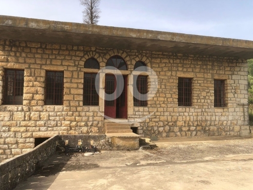 Old House for Sale Kour Batroun Housing Area 300Sqm Two Floor & Land Area 9022Sqm — 4
