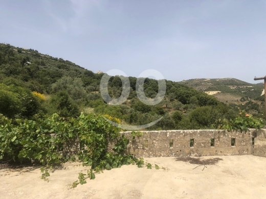 Old House for Sale Kour Batroun Housing Area 300Sqm Two Floor & Land Area 9022Sqm — 2