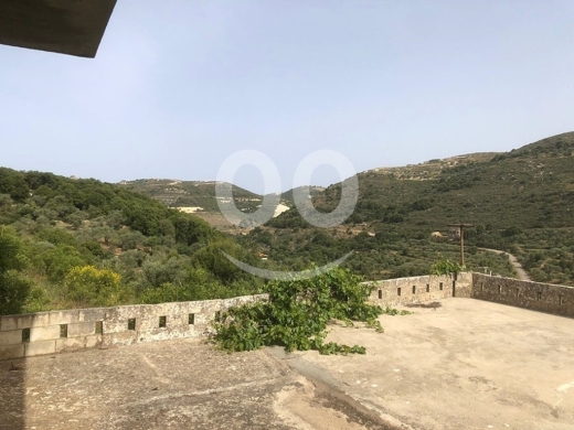 Old House for Sale Kour Batroun Housing Area 300Sqm Two Floor & Land Area 9022Sqm — 5