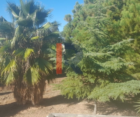 R9-2950 Land with House for Sale in Alma Zgharta – 4,700 m² Residential — 3