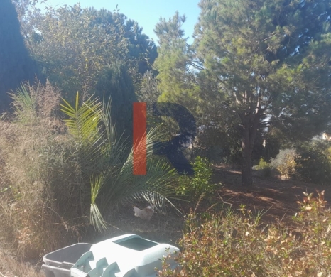 R9-2950 Land with House for Sale in Alma Zgharta – 4,700 m² Residential — 4