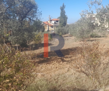 R9-2950 Land with House for Sale in Alma Zgharta – 4,700 m² Residential — 7
