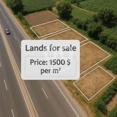 Lands for sale in Sour - أراضي على مدخل صور الطريق العام للبيع