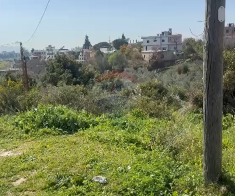 Lands for sale in Alma - R9-2955 Land for Sale in Alma Zgharta - 1,062 m² Residential with Road, Electricity & Water