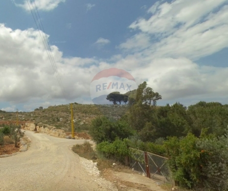 Lands for sale in Nakhleh - R9-2970 Land for Sale in Nakhkleh Koura - 1,525 m² Residential 20/40 with Road, Electricity & Water