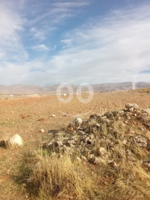 أرض زراعية للبيع الطيبة | 3305 م2 | سند أخضر | 15/م — 7