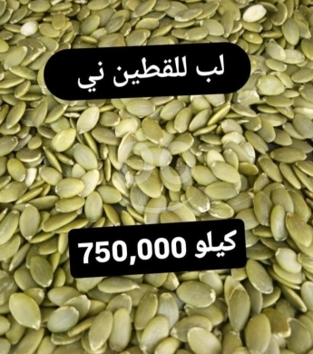 Food & Drink in Sin El Fil - Premium Raw Pumpkin Seeds
