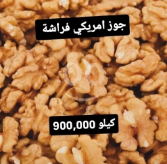 جوز امريكي فراشة فاخر