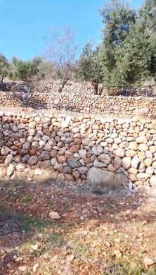 Lands for sale in JdeidehKatih - أرض منصوبة زيتون للبيع