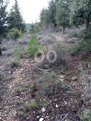 Lands for sale in Hardine - أرض مطلة كاشفة في حردين البترون ١٦٠٠م | Open View Land for Sale in Hardine 1600m