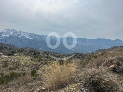 Lands for sale in Tannourine - أرض للبيع في تنورين ٣٠,٠٠٠م مع منزل ومزرعة تفاح | Land for Sale in Tannourine 30,000 sqm with House
