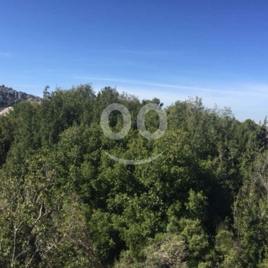 أرض للبيع في نيو دوما ٩٥٠م إستثمار سكني | Land for Sale in New Douma 950 sqm Residential — 5