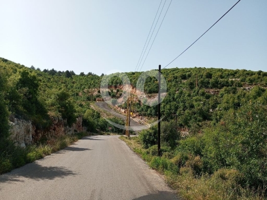 Lands for sale in Deir Bella - ارض مفرزة للبيع في ديربلا البترون 750م | Zoned Land for Sale in Dirbela Batroun 750m