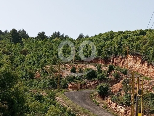 ارض مفرزة للبيع في ديربلا البترون 750م | Zoned Land for Sale in Dirbela Batroun 750m — 3