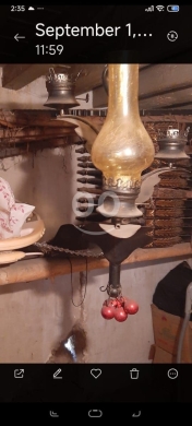 antique chandelier — 3