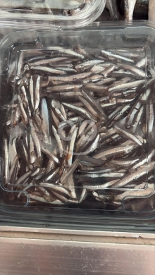 سوق السمك الكرنتينا — 4