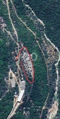Lands for sale in Batroun - أرض مشجرة زيتون في محمرش البترون ٣٧٠٠م | Olive Land for Sale in Mhamresh 3700m