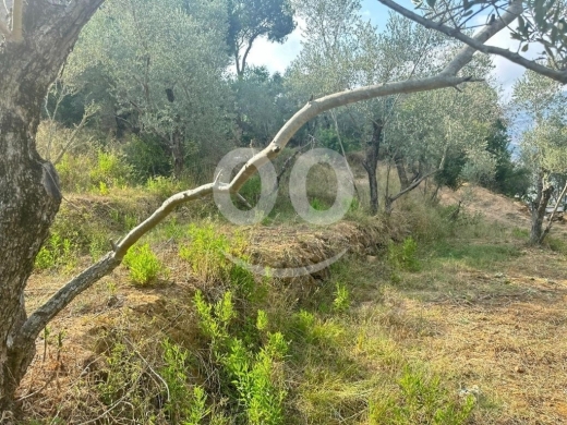 Lands for sale in Dmayt - land for sale in dmit