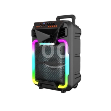 RGB KARAOKE SPEAKER - 15” Heavy Bass Drivers - RGB Dazzling LED Lights — 6