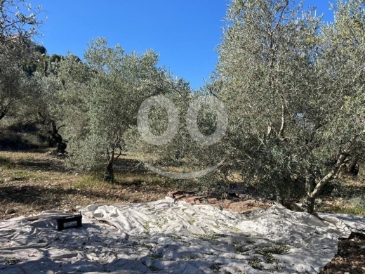 Lands for sale in Bejje - Land for Sale Bejjeh Jbeil Area 5410Sqm