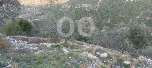 Lands for sale in Bejje - Land for Sale Bejjeh Jbeil Area 2330Sqm