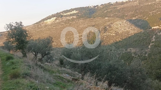 Land for Sale Bejjeh Jbeil Area 2330Sqm — 3