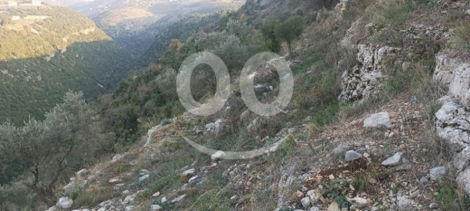 Land for Sale Bejjeh Jbeil Area 2330Sqm — 2