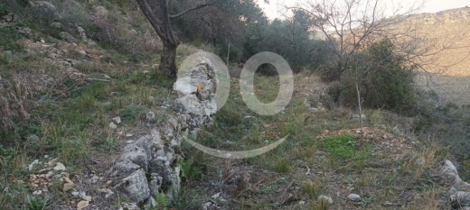 Land for Sale Bejjeh Jbeil Area 2330Sqm — 4